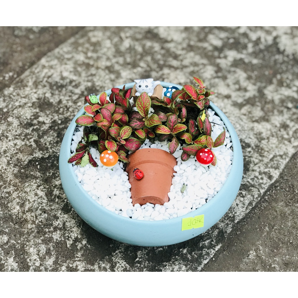 CHẬU ĐẤT NUNG 5