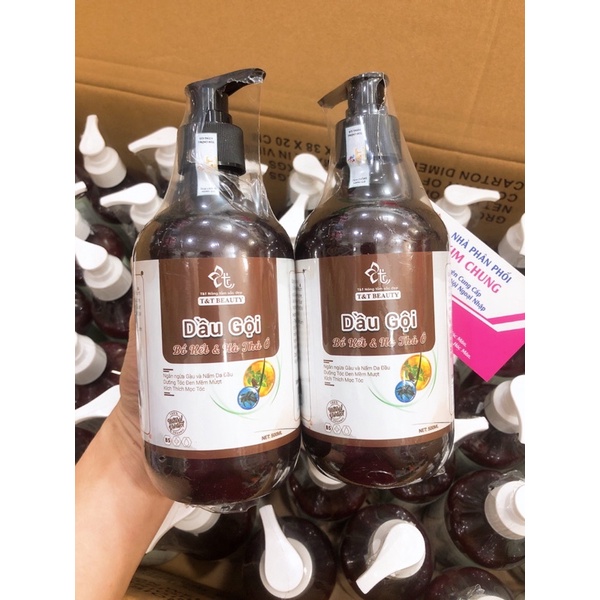 Combo dầu gội và dầu xả BỒ KẾT &amp; HÀ THỦ Ô ngăn gàu và nấm da đầu dưỡng tóc mềm mượt