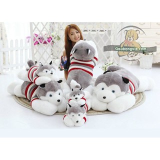 Chó bông Husky- Ôm gác cực thích
