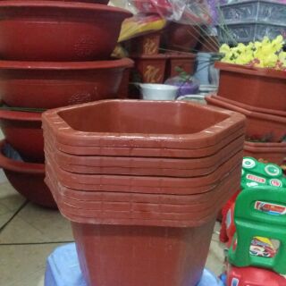 10 Chậu lục giác