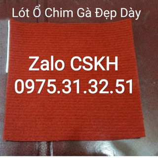 Tấm lót ổ đẻ chim gà bồ câu