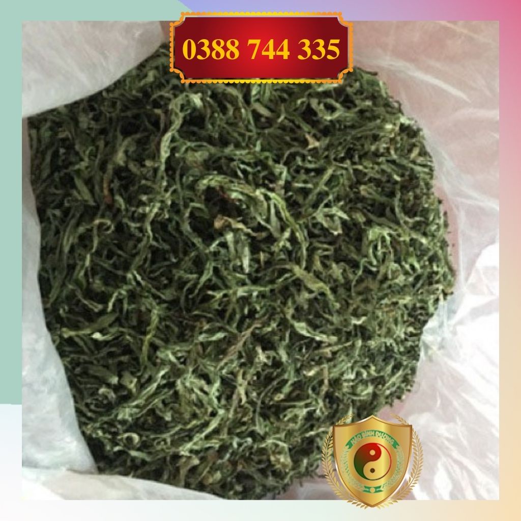 1kg Lá Cây Bồ Công Anh Sấy Khô Mát Gan, Giải Độc, Ngừa Ung Thư