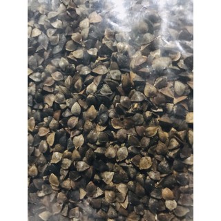 100g Ba khía cho hámter đuôi mập, bear,ww,campel,..