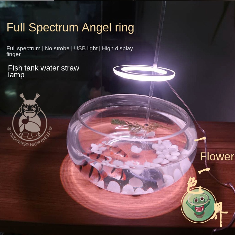 Đèn led Trang Trí Bể Cá Hình Thiên Thần Bắt Mắt Sành Điệu