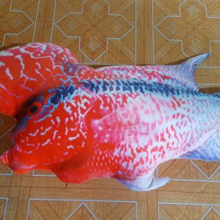 Gối Cá La Hán 3D hàng độc