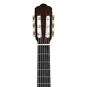 Guitar Classic Stagg C548 Nhập Khẩu Bỉ - Phân Phối Sol.G