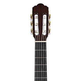 Đàn guitar classic Stagg C548