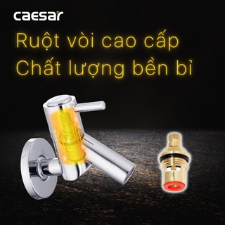 Vòi Lạnh Gắn Tường - W047C