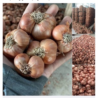 Hành Tím Bắc khô, tỏi trắng khô tặng kèm túi lưới