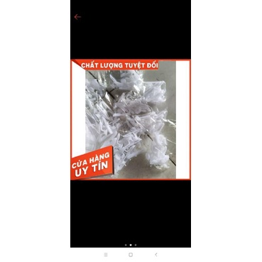 10 cái tắc kê bướm nhựa,nở bướm nhựa thạch cao