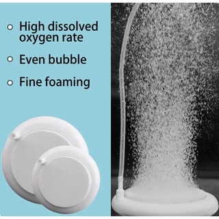 Sủi Oxy Đĩa Siêu Mịn T100