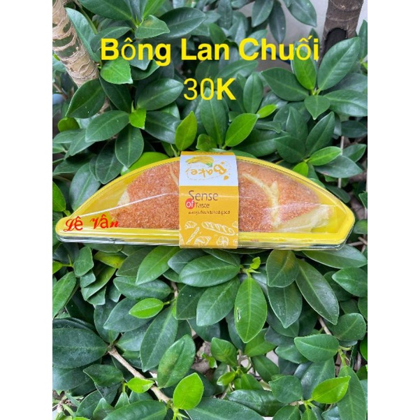 Bông Lan Chuối