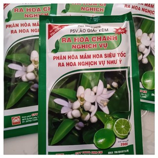 Phân bón kích ra hoa chanh, cam, quýt, bưởi, tắc, cây có múi