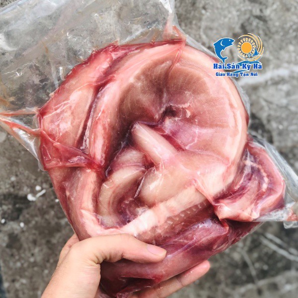 Giá Sỉ 1Kg Cá Ninja - Q12