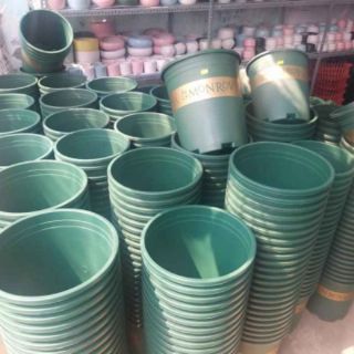 Combo 3 chậu Monrovia Gallon 7