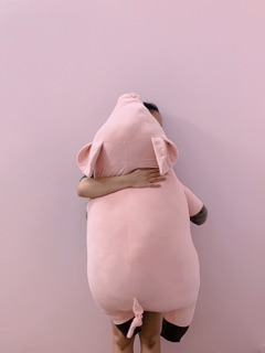 [Gấu Bông Cao Cấp] - Lợn Ngủ