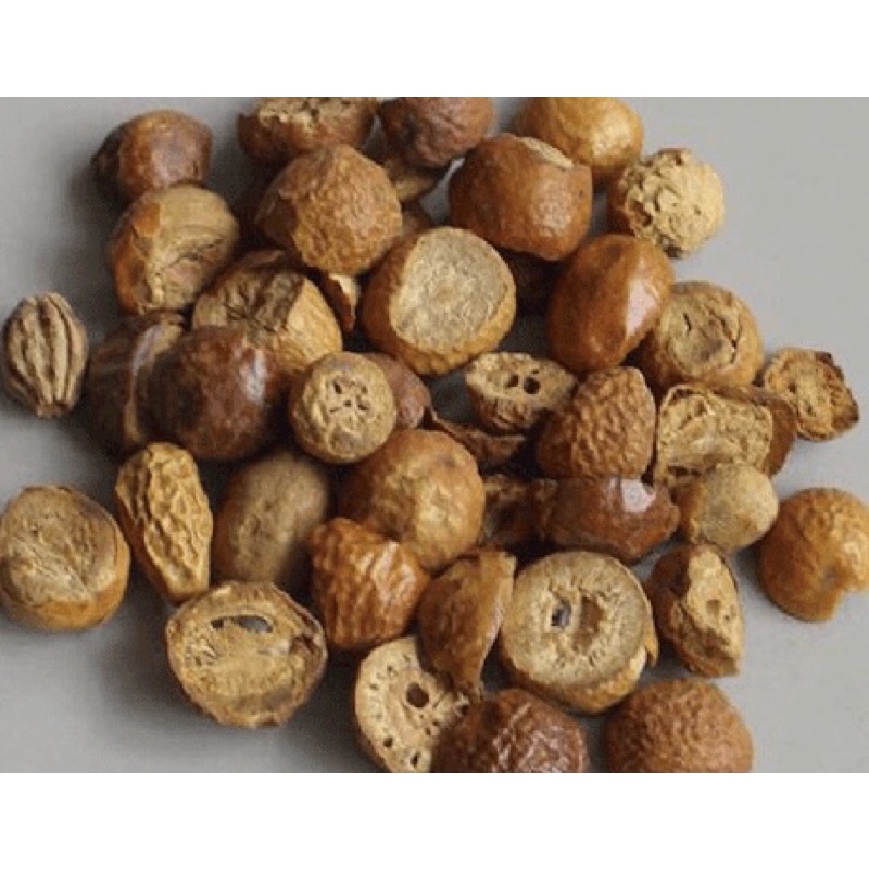 XUYÊN LUYỆN TỬ khô (Quả cây Xoan ta) loại 1 [500g]