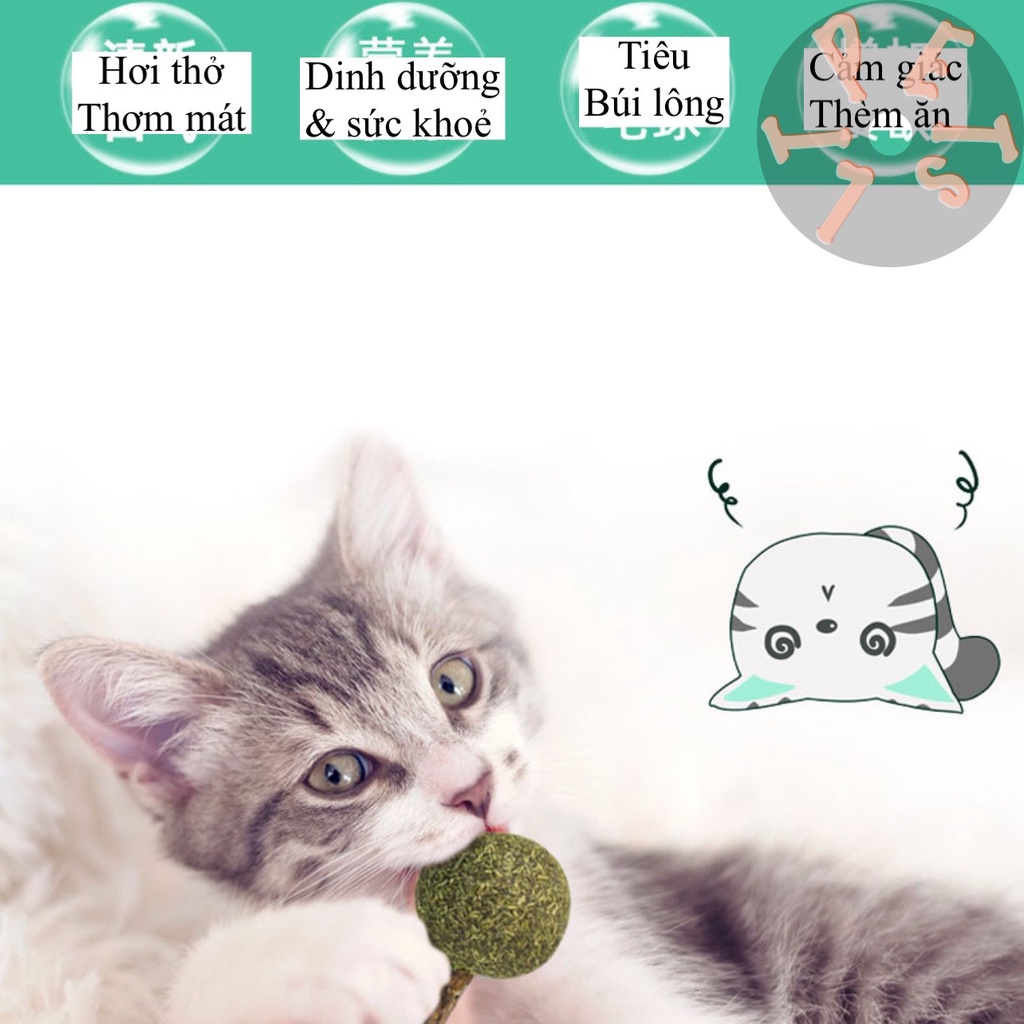 Kẹo mút cỏ mèo Catnip - Rạch Răng Thơm Miệng và Giảm căng thẳng cho mèo