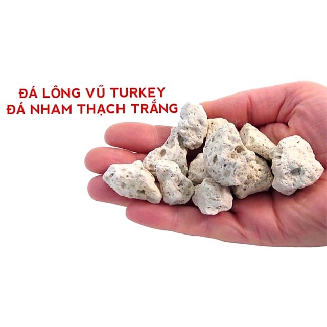 Đá lông vũ 1-2cm Đá bọt Nham thạch trắng Pumice, phụ kiện lọc nước hồ cá cảnh thủy sinh chất lượng cao