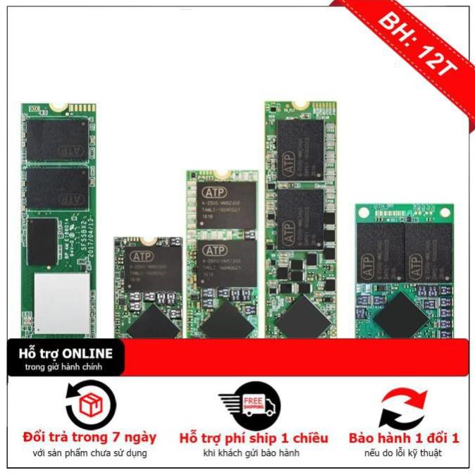 [BH12TH] SSD KingDian 2.5" MSATA M2 SATA 2242 2260 2280 NVME bảo hành 3 năm