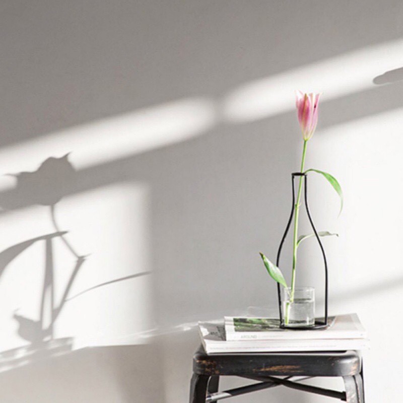 Chậu hoa bằng khung sắt - trang trí phòng khách .