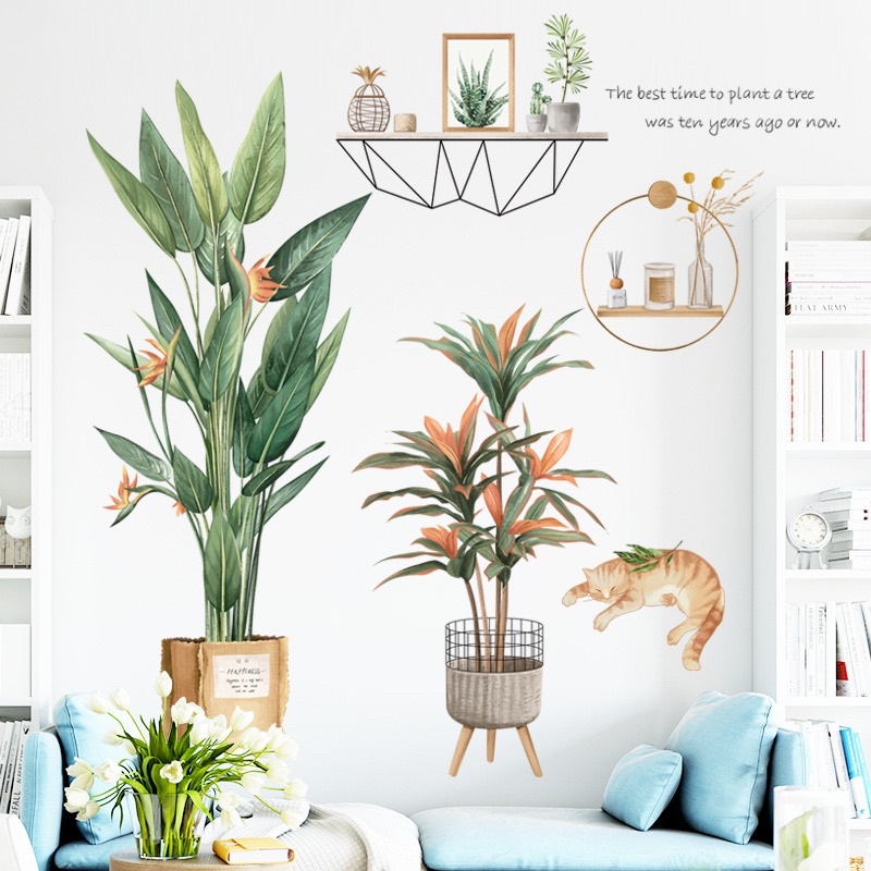 Decal dán tường mẫu chậu cây mèo hàn quốc