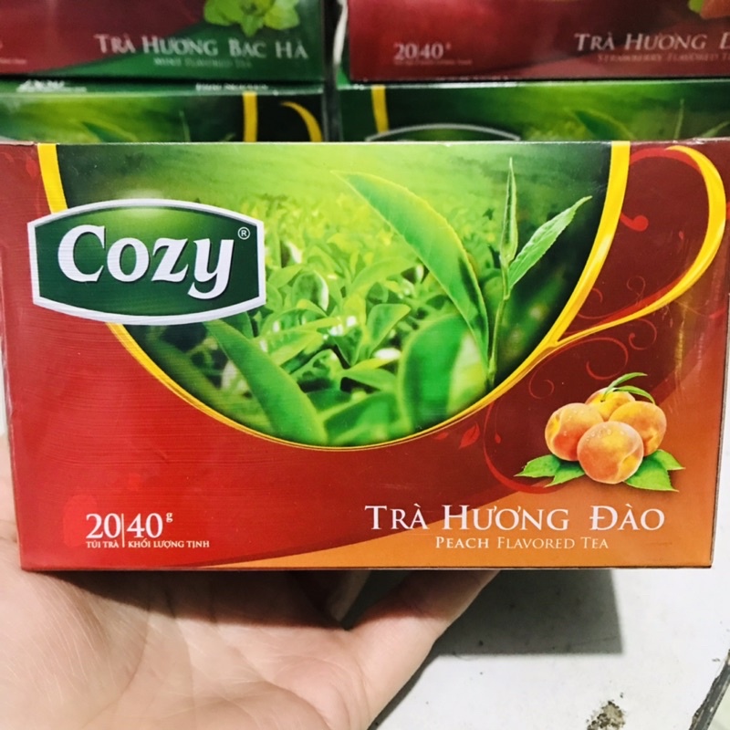 Trà Cozy Túi Lọc Đào/ Dâu 20 gói