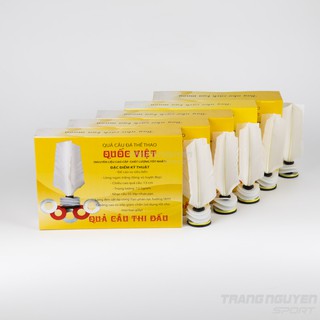 Quả Cầu đá Thi đấu Quốc Việt