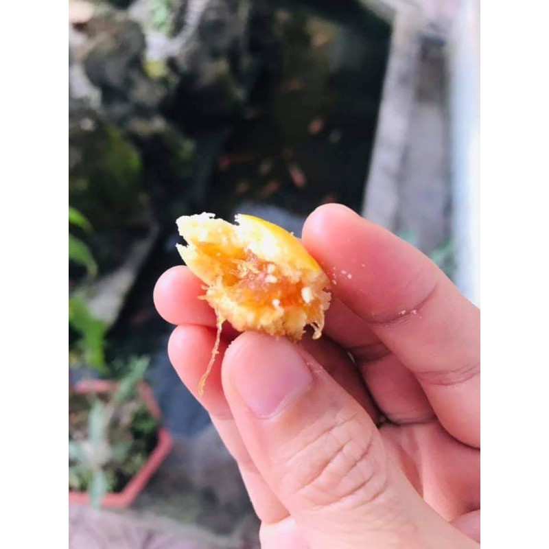 Bánh dứa mini siêu phẩm