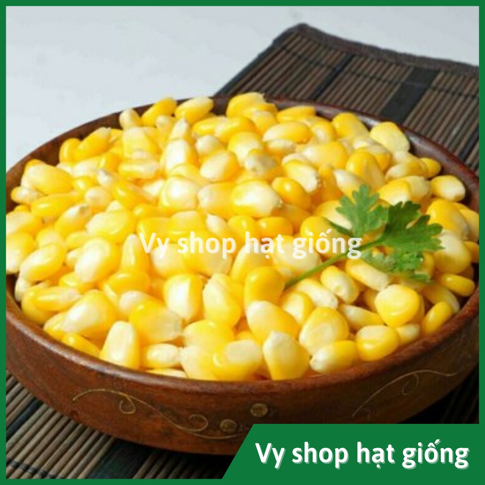 Hạt giống bắp Mỹ  Thái Lan gói 110 hạt