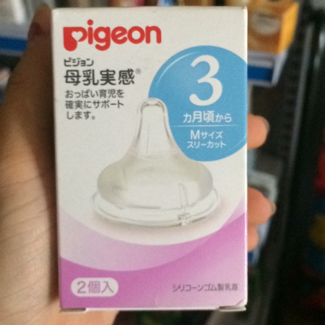 Núm ti Pigeon