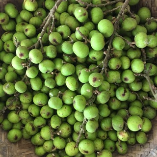 Quả sung nếp 1kg