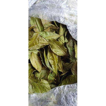 Lá trà xanh khô làm mát tra  tại nhà hay uống rất tốt