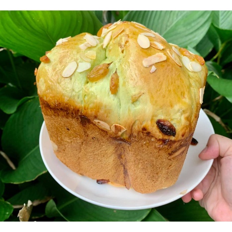 Máy làm bánh mỳ Ranbem bảo hành 12 tháng TẶNG KÈM CÔNG THỨC