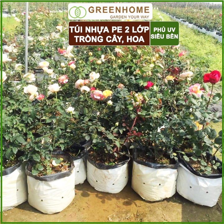 Túi PE trồng cây, 17x33cm, 2 lớp, chống UV tiện lợi, độ bền 1,5 năm, trồng rau, hoa, dâu tây |Greenhome