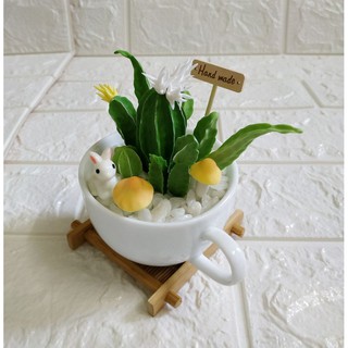 Tiểu cảnh chậu xương rồng handmade từ đất sét