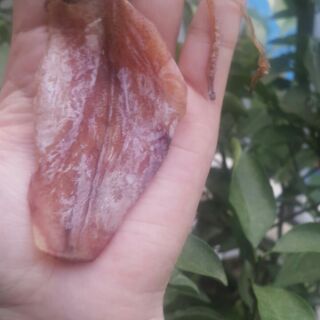 Combo mực khô mini 280k/kg (giá từ 5kg)