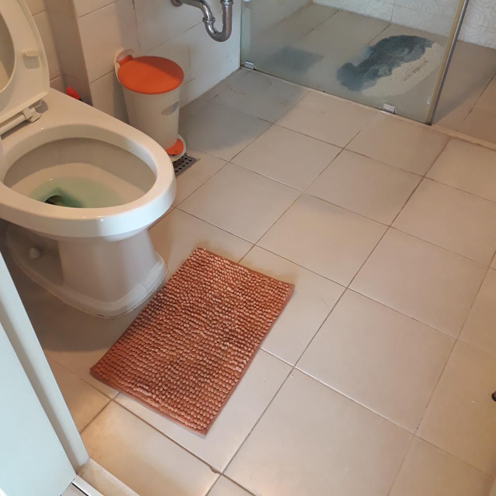 Thảm San Hô Siêu Thấm Mềm Mịn 30x45cm - Thảm Chống Trượt (Giao Màu Ngẫu Nhiên )