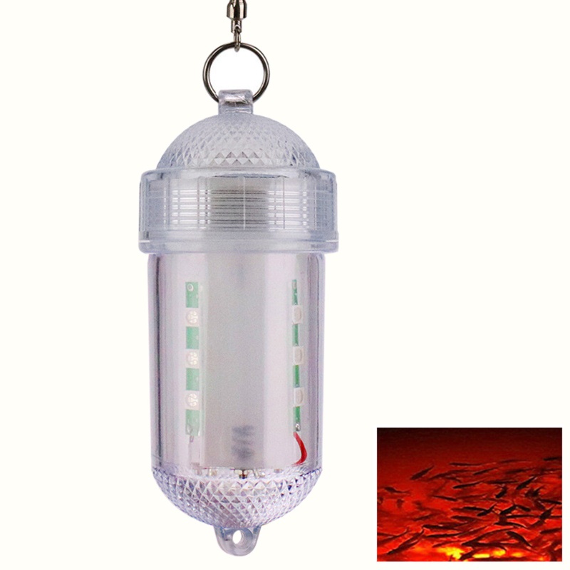 QQ Đèn LED 12 Bóng Siêu Bền Chống Thấm Nước Để Câu Cá Vào Ban Đêm