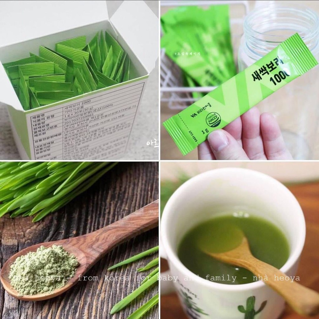 BỘT LÚA NON WISE BARLEY SPROUT VITAMIN VILLAGE HÀN QUỐC