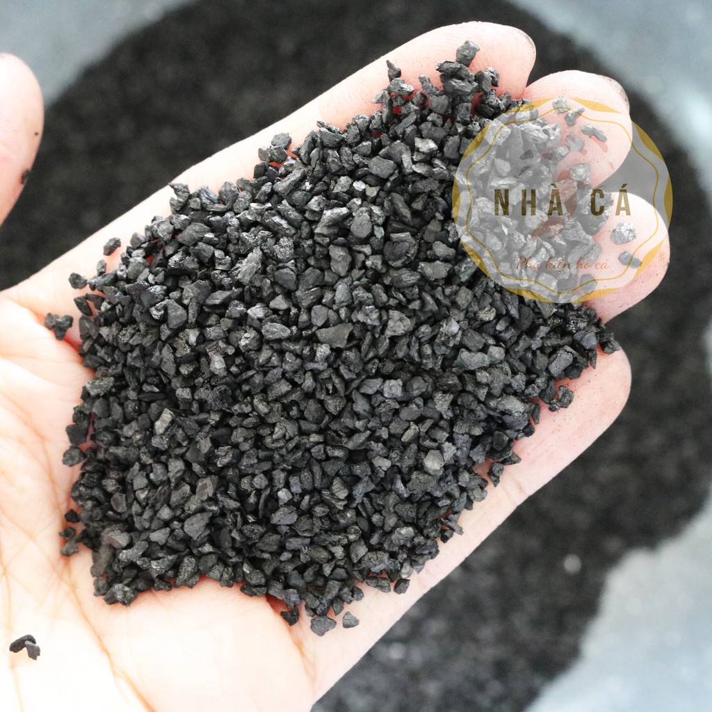 100g Than hoạt tính nguồn gốc than đá - Vật liệu lọc