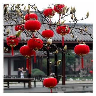Đèn Lồng Nhung Đỏ Treo Cây Cảnh Tết Rẻ Vô Địch