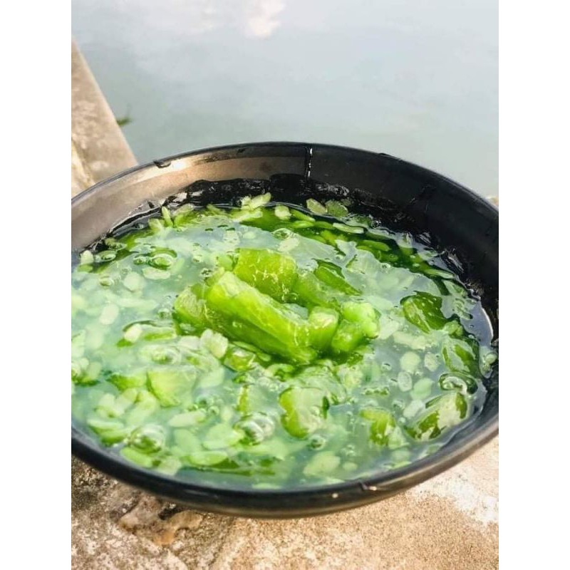 Set Chè Bưởi Cốm Non Hà Nội Thơm Mát Kèm Công Thức Nấu Độc Quyền Nhà Hopi