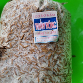 Meo Nấm Rơm Thần Nông (550g)