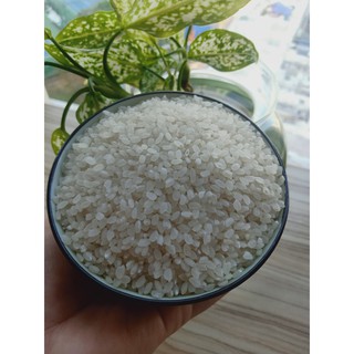Gạo sushi kiểu Nhật RA1