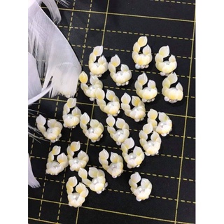 combo 20 hoa bột nail