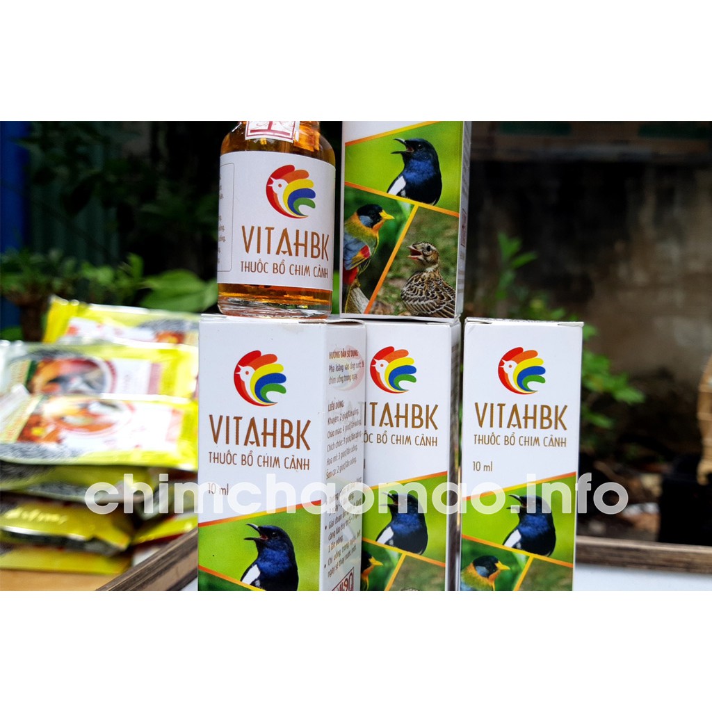VITAHBK  - Vitamin Chào mào Hiển Bảo Khánh