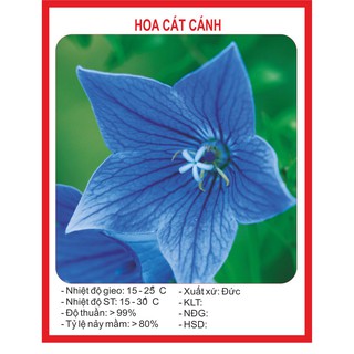 Combo Hạt Giống 100K tùy chọn