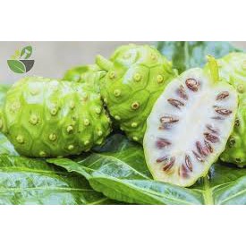 BỘT TRÁI NHÀU (NONI POWDER) - 1KG