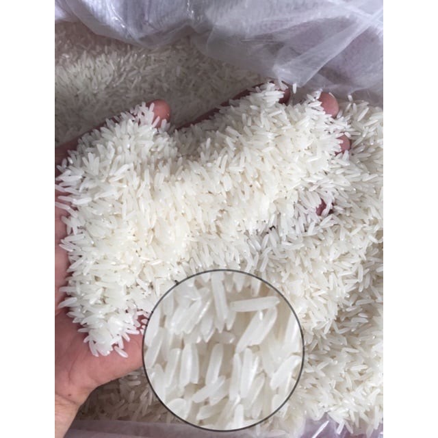 Gạo đặc sản Sóc trăng ST25 túi 10kg